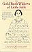 The Gold Rush Widows of Little Falls: A Story Drawn from the Letters of Pamelia and James Fergus