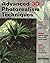 Advanced 3D Photorealism Techniques by Bill Fleming