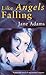 Like Angels Falling (Ray Flowers, #2)