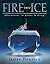 Fire into Ice by James A. Houston