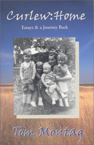 Curlew: Home (Paperback)