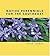Native Perennials for The Southeast by Peter Loewer