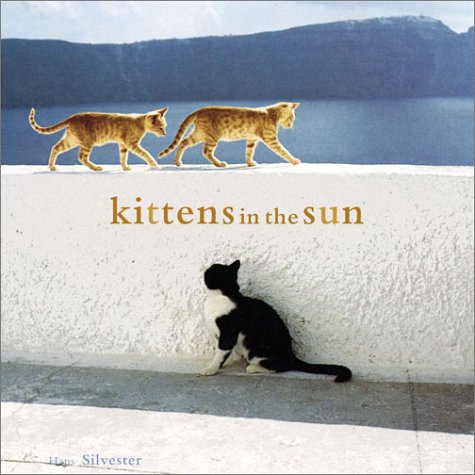 Kittens in the Sun (Paperback)