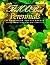 The 100 Best Perennials : A Practical Encyclopedia