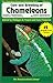 Care and Breeding of Panther, Jackson's, Veiled, and Parson's Chameleons (Herpetocultural Library, The)