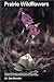 Prairie Wildflowers