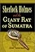 Sherlock Holmes and the Giant Rat of Sumatra