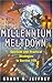 Millennium Meltdown: Spiritual and Practical Strategies to Survive Y2K