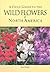 A Field Guide to the Wild F...