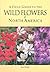 A Field Guide to the Wild Flowers of North America