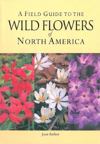 A Field Guide to the Wild Flowers of North America (Paperback)