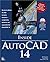 Inside Autocad 14