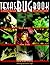 Texas Bug Book by C. Malcolm Beck