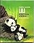 Lili: A Giant Panda of Sichuan