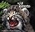 Wild Kittens