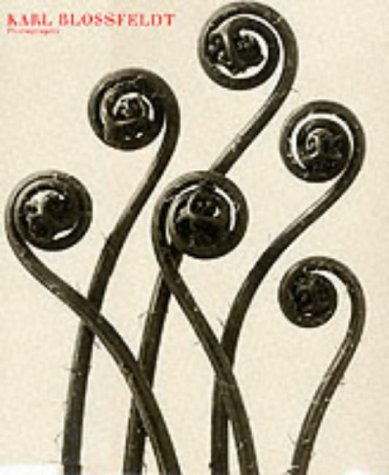 Karl Blossfeldt: Photography (Hardcover)