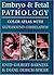 Embryo and Fetal Pathology: Color Atlas with Ultrasound Correlation