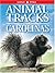 Animal Tracks of the Carolinas