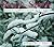 Snow, Snow: Winter Poems fo...