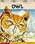 Animal Lore & Legend: Owl