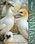 Biology of Animals by Cleveland P. Hickman Jr.