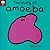 The Story of Amoeba by Berny Stringle