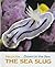 The Sea Slug