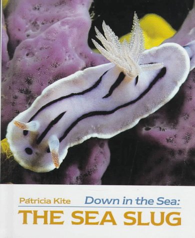 The Sea Slug (Down in the Sea)