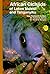 African Cichlids of Lakes, ...