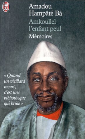 Amkoullel, l'enfant Peul (Paperback)