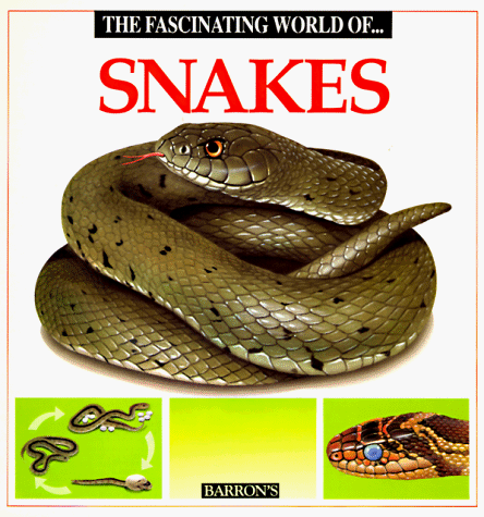 The Fascinating World of Snakes (Paperback)