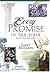 Every Promise In The Bible by Larry Richards