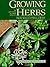 Growing Herbs from Seed, Cu...