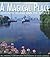 A Magical Place: Toronto Island and Its People (Lorimer Illustrated History)