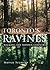 Toronto's Ravines: Walking the Hidden Country