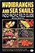 Nudibranchs and Sea Snails:...