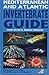 Mediterranean and Atlantic Invertebrate Guide