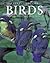 Encyclopedia of Birds