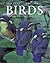 Encyclopedia of Birds (Natural World)