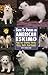 Guide to Owning an American Eskimo