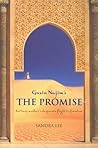 Guzin Najim's the Promise: An Iraqi Mother's Desperate Flight to Freedom