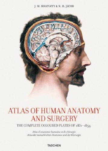 Atlas of Human Anatomy and Surgery: The Complete Coloured Plates of 1831-1854 (Hardcover)