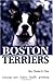 Boston Terriers
