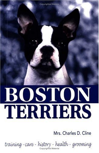 Boston Terriers (Paperback)