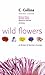 Wild Flowers of Britain & Northern Europe by Richard Fitter