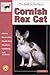 The Guide to Owning a Cornish Rex Cat (RE 418)