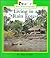 Living in a Rain Forest (Rookie Read-About Geography)