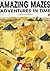 Amazing Mazes: Adventures i...