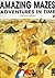 Amazing Mazes: Adventures in Time