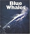 Blue Whales (Naturebooks)